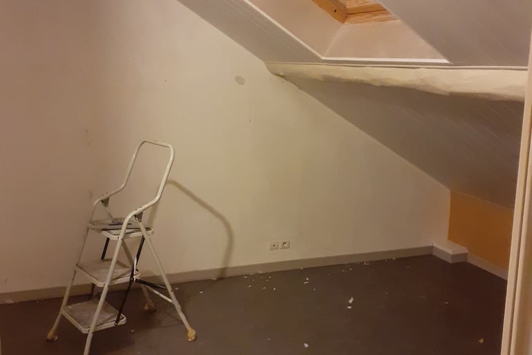 Rénovation sol/mur/plafonds