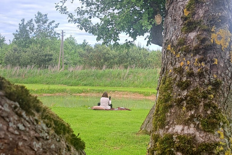 A person sitting on a green lawn by a pond, viewed through the fork of a mossy tree trunk.