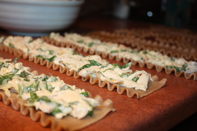 lasagna noodles with chicken cheese mixture
