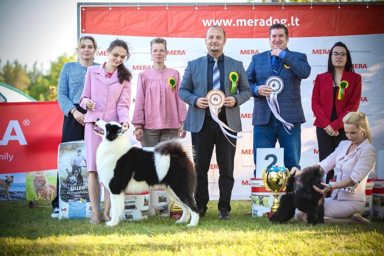 Yakutian laika show kennel