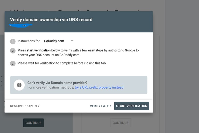 Domain Verification