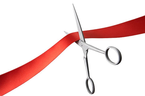 Inauguration MECALINE