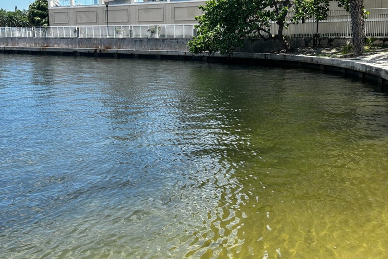 Monroe Co Fl Seawall 