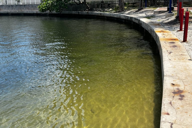 Seawall inspection 