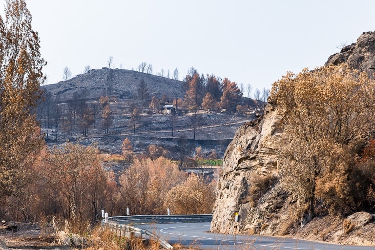 Incendie de l'Aude août 2025. Végétation et collines calcinée.