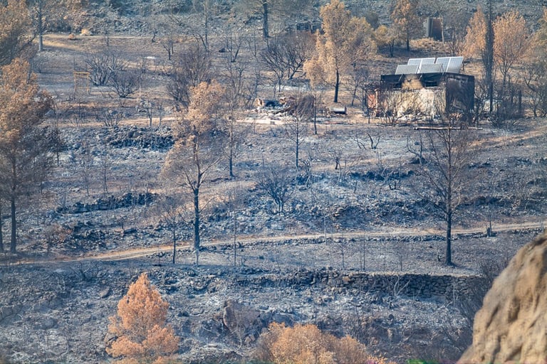 Incendie de l'Aude août 2025. Végétation et bâtiments calcinée. Cendres.