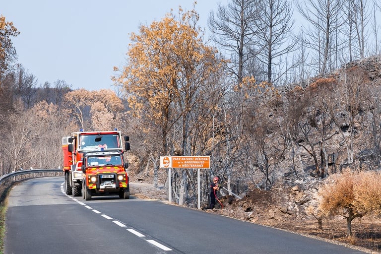 Incendie de l'Aude août 2025. Végétation calcinée en bord de route. Pompiers en intervention.
