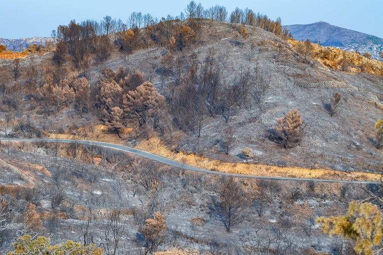 Incendie de l'Aude août 2025. Végétation et collines calcinée.