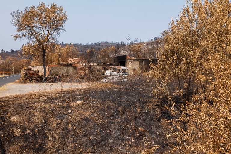 Incendie dans l'Aude la nature détruite