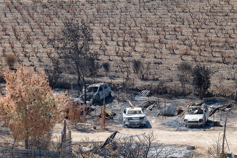 Incendie dans l'Aude la nature détruite