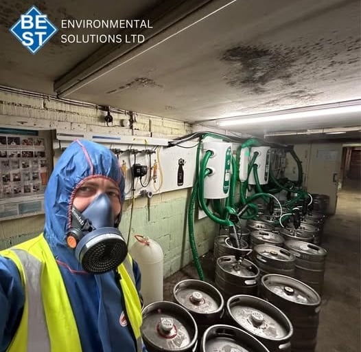 asbestos removal Harlow