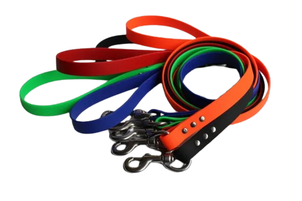 a dog leash Luido pet gear