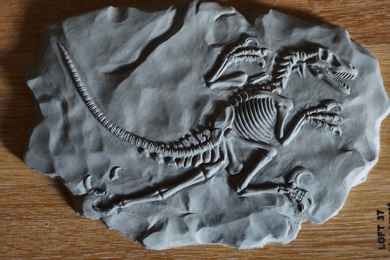 Modelage fossile vélociraptor Thiriat Aubin