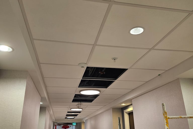 Suspended Acoustical Ceiling