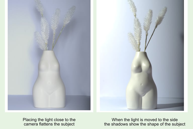 side lighting creates the strongest sense that a subject has three dimensions.
