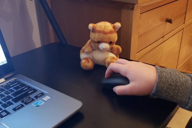 Kid working on laptop with mouse
