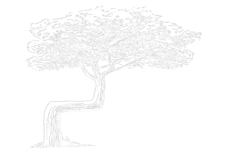 Trail Tree Acres