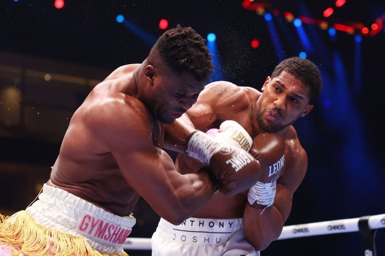MW3838 Boxing