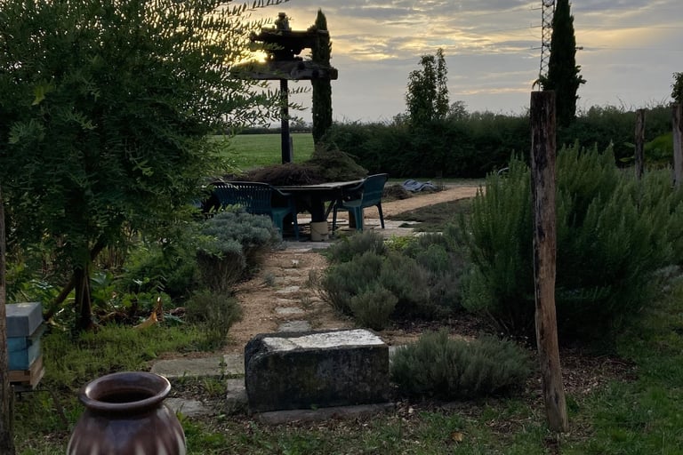 Le jardin d'Aimé : jardin thérapeutique à visé préventive