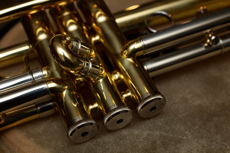 gros plan sur pistons de trompette