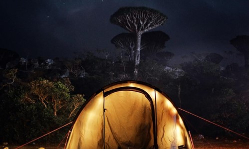 Socotra night camp