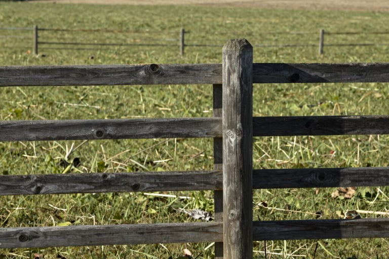 Weathered wooden post and rail fence enclosing a green rural pasture with a forest background.