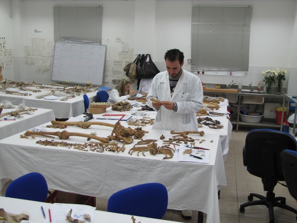 missing cypriots remains