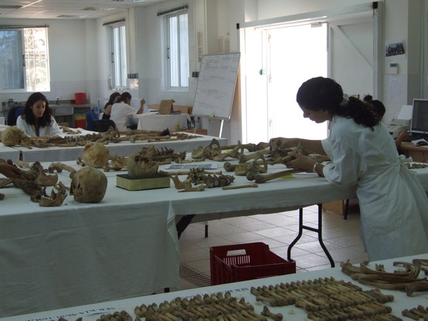 missing-cypriots-bones3