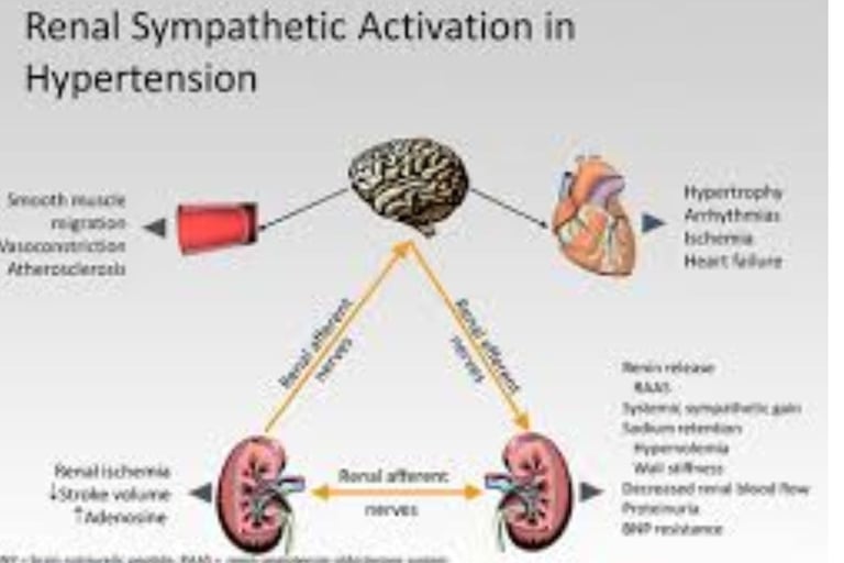 renal in hypertension