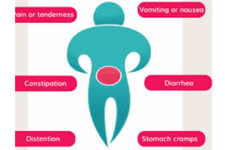 Emesis and Upper Digestive Tract Blockages