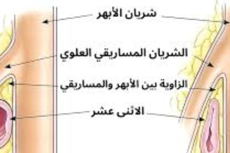 Emesis and Upper Digestive Tract Blockages