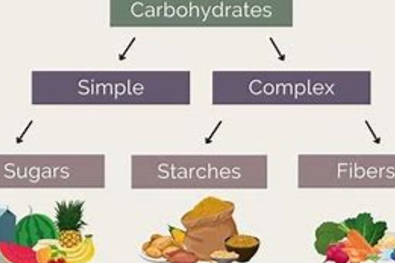 a diagram of a food pyramid with a variety of foods