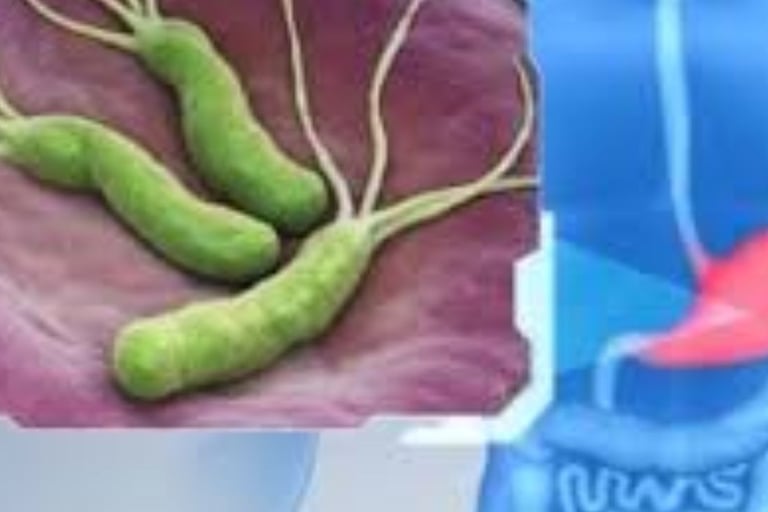 💩🧬 عملية زرع البراز (FMT) والصيام الطوعي ♻️ 🌙