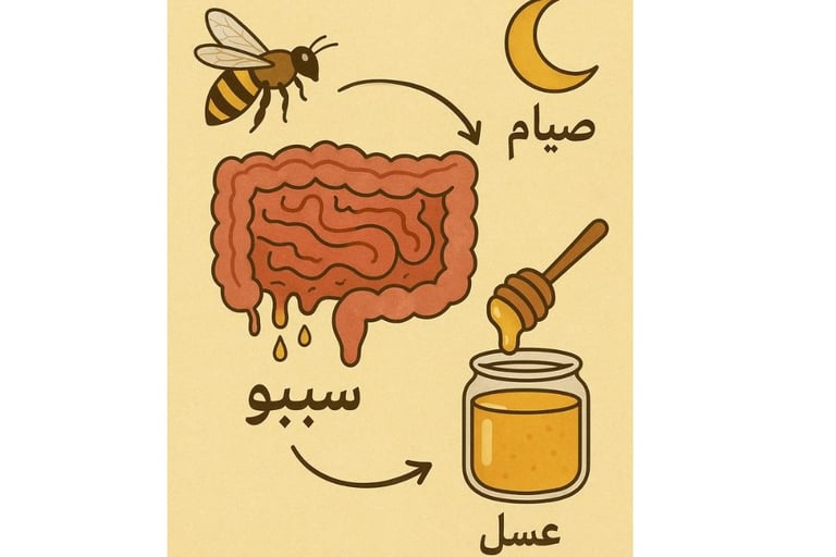 🐝🌙🍯متلازمة الأمعاء المتسربة SEBO صيام وعسل (1)