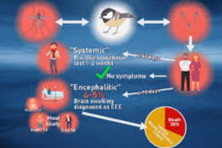 Eastern Equine Encephalitis (EEE)