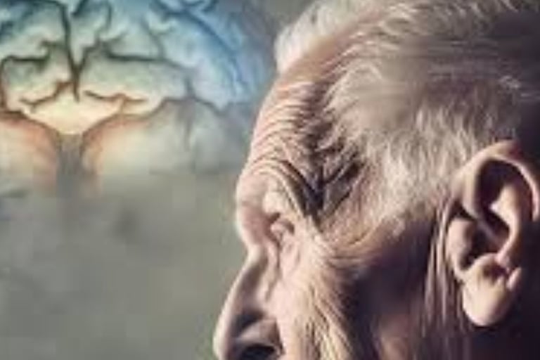 Anti-Aging improving brain function : FASTING