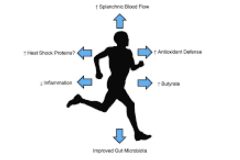 Leaky Gut Syndrome New View to Symptoms,