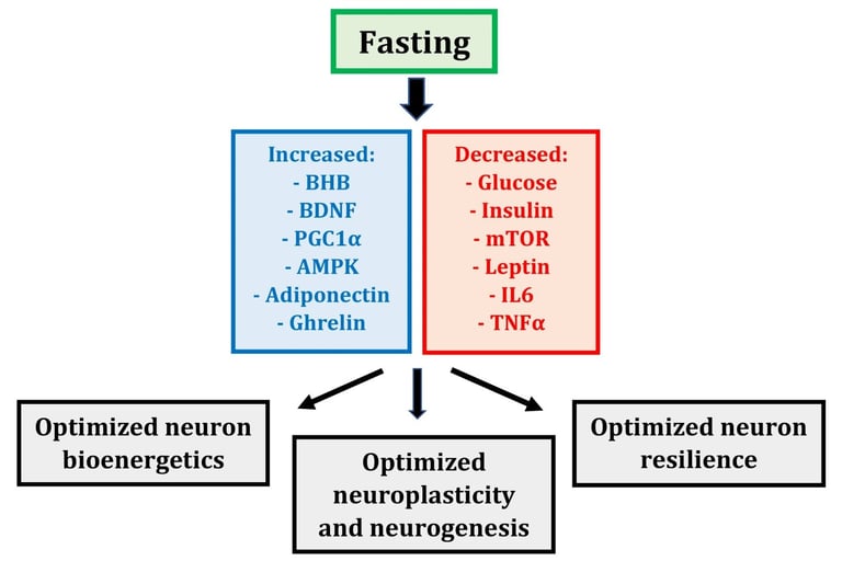 fasting therapy, triple therapy, honey medicine, bee therapy, apitherapy, metabolic healing, immunit