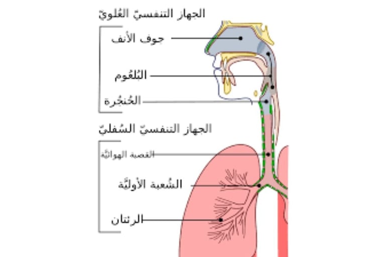 الحل الذهبى كرر بلا حساب