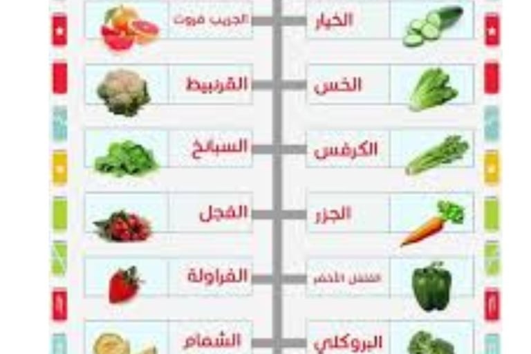 الاكل المثالى