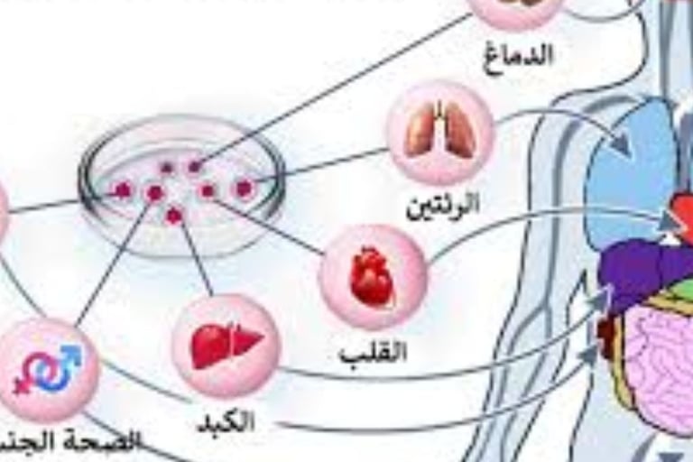 ماذا تعالج