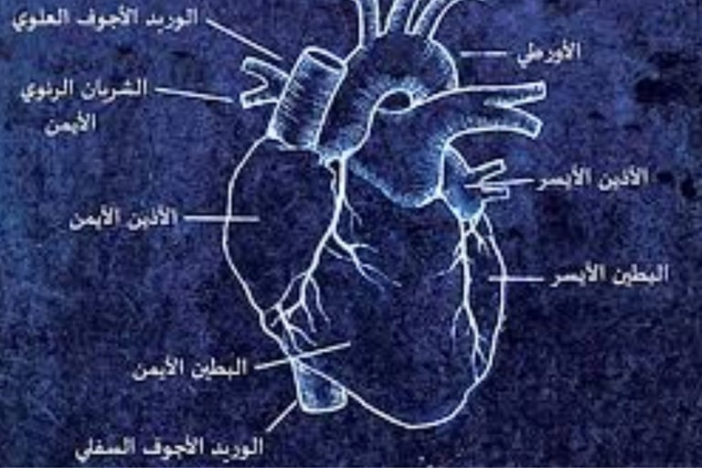 Voluntary Islamic Fasting for Arrhythmia