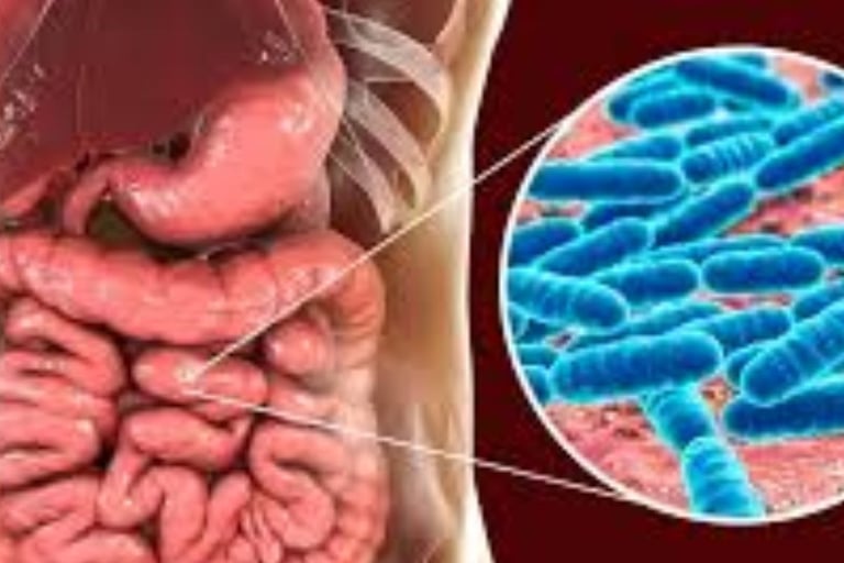 small intestinal fungal overgrowth treatment using fasting and honey