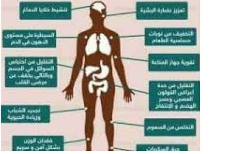اليلات عمل اتلصيام