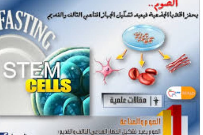 الخلايا الجذعية