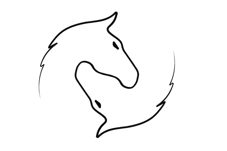a horse head in the dark with a black background