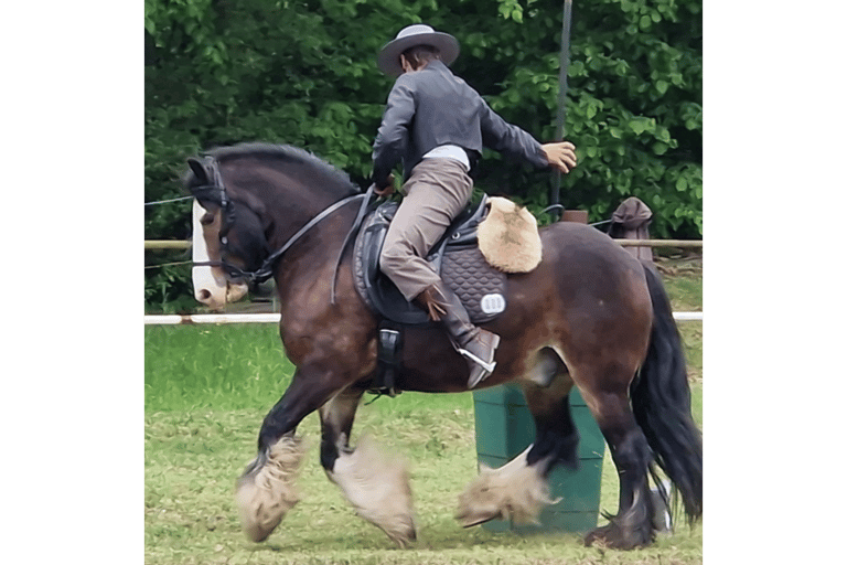 a man riding a horse in a field
