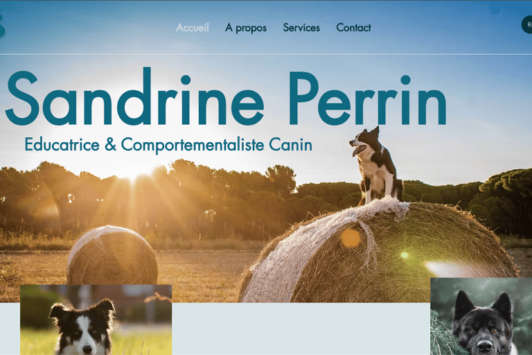 web design comportementaliste canin 