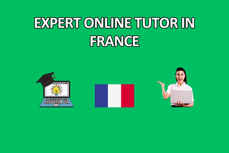 get expert online tutor in France