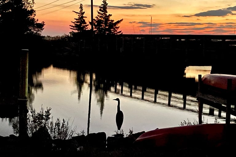 An egret fishing at sunset by Waterside Lane Bridge in Clinton, CT